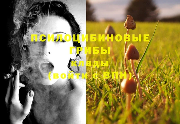 ECSTASY Абаза