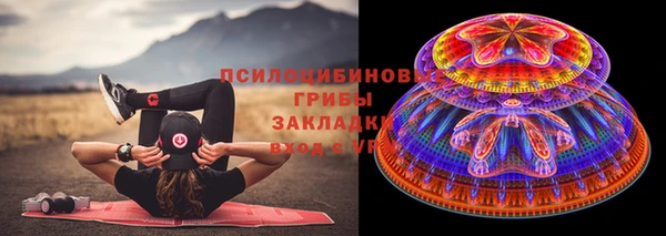 ПСИЛОЦИБИНОВЫЕ ГРИБЫ Абинск