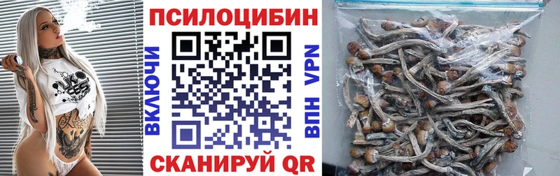 Галлюциногенные грибы Psilocybine cubensis  Новокубанск 
